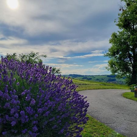 Unterbrandlberg Apartamento Steinbach an der Steyr Exterior foto